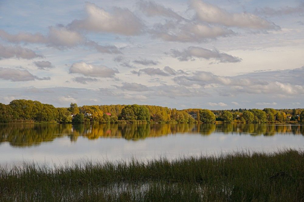 Photograph by Алфия Бугакова