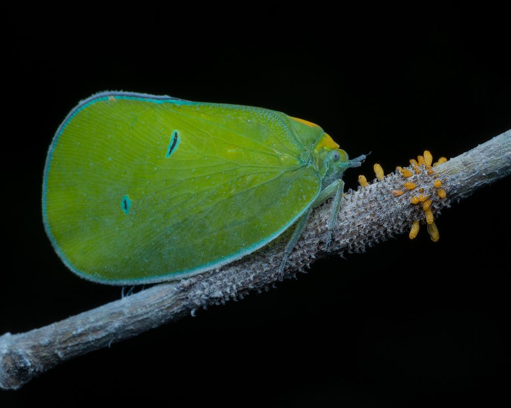 Photograph by Manjunath S