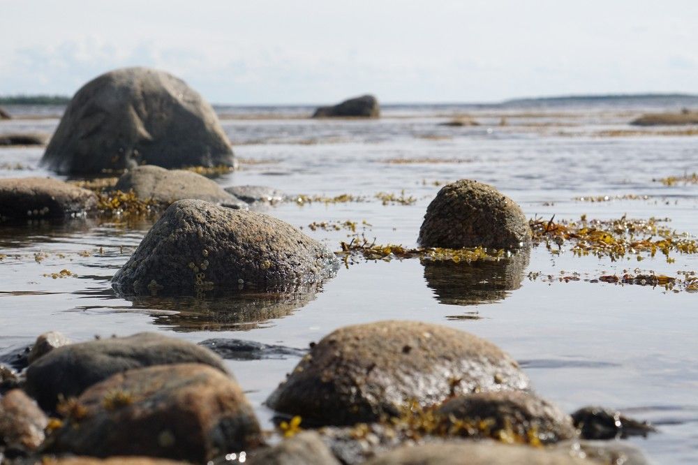 Photograph by Алфия Бугакова