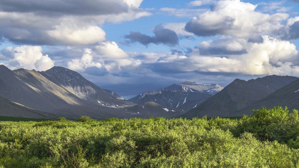 Photograph by Александр Пономарёв