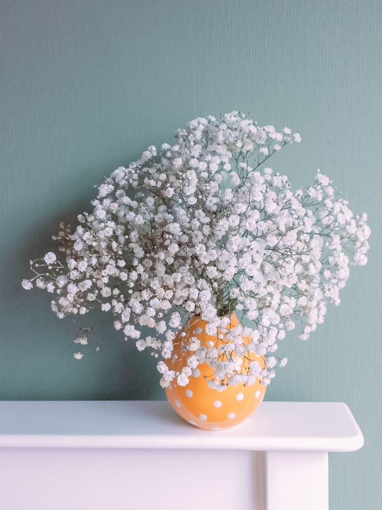 Photograph by Elena Boriskova