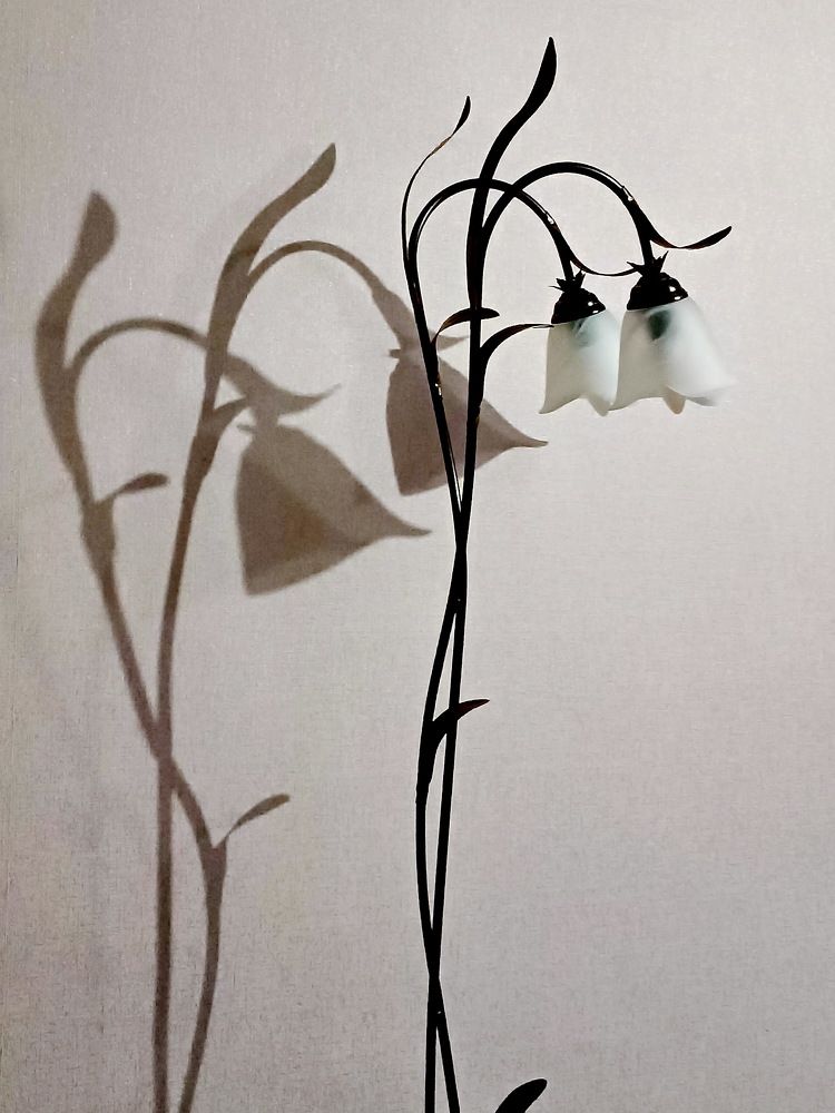 Photograph by Виталий Симоненков