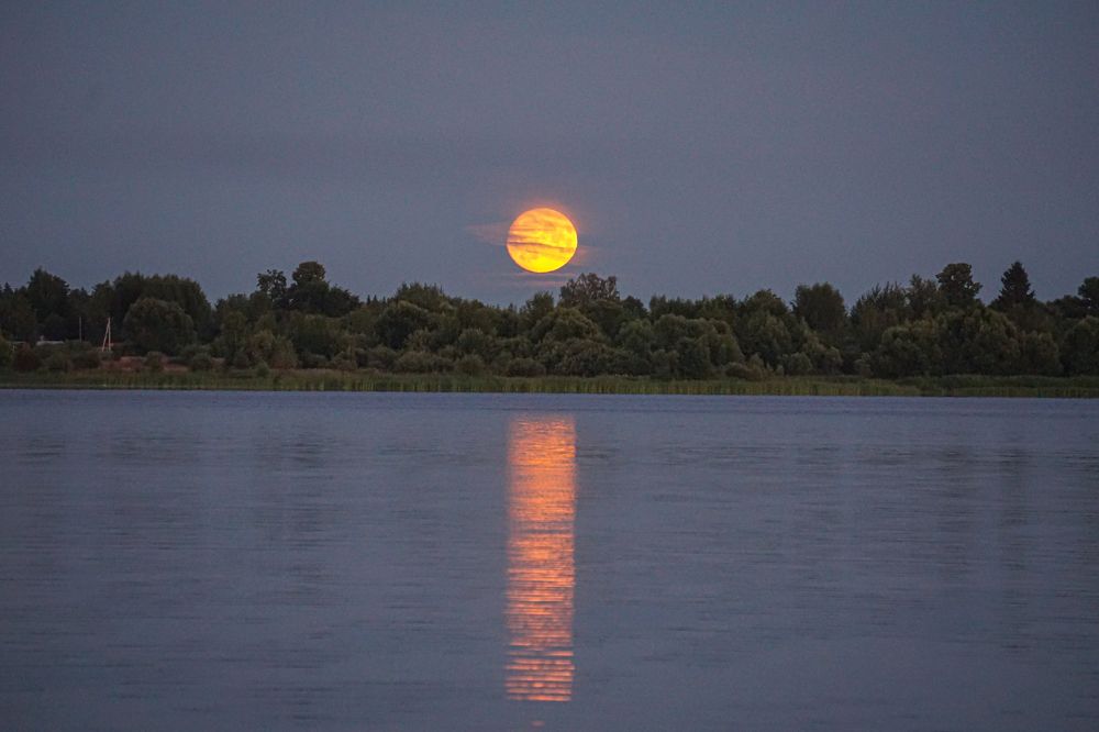 Photograph by Алфия Бугакова