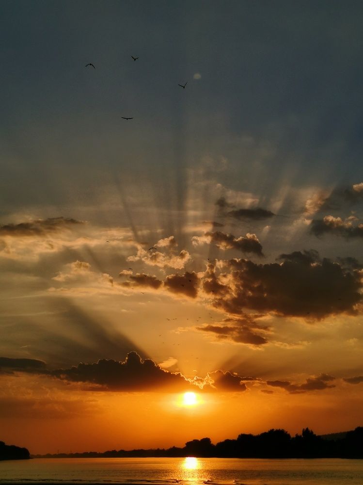 Яркие лучи заката