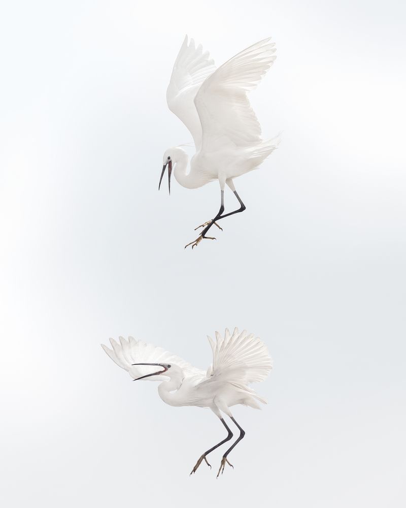 Photograph by Ahmed Fareed