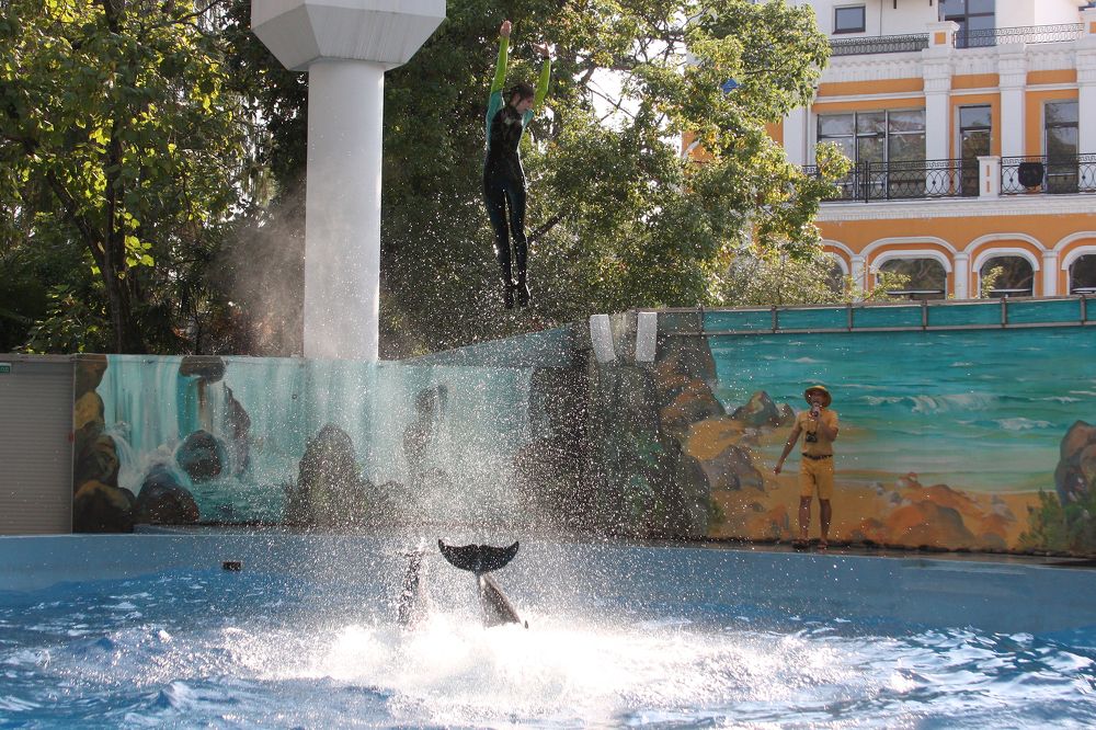 Photograph by Мария Самоловова