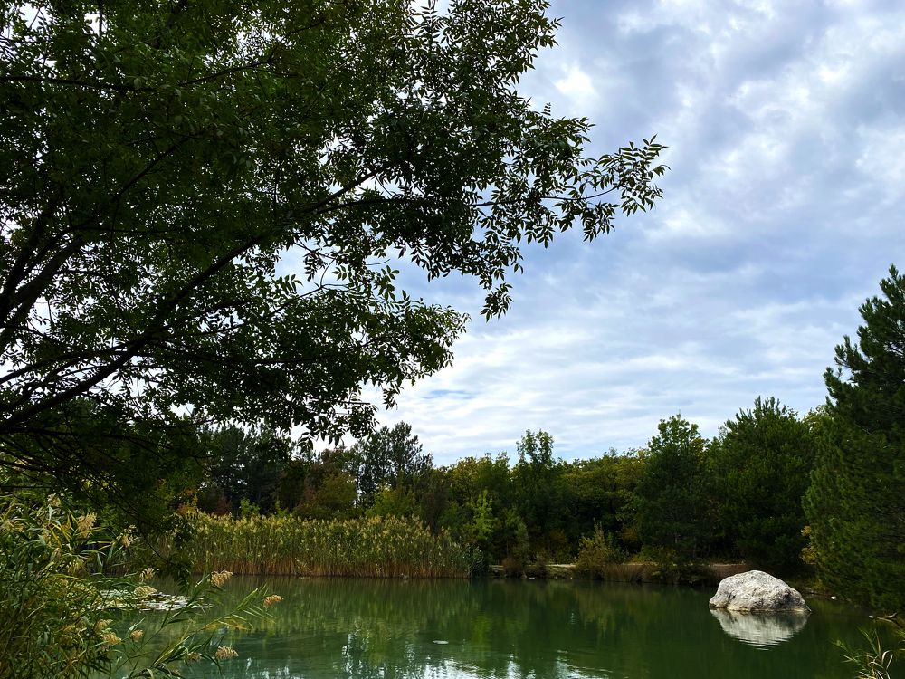 Фотография автора Екатерина Ефанова