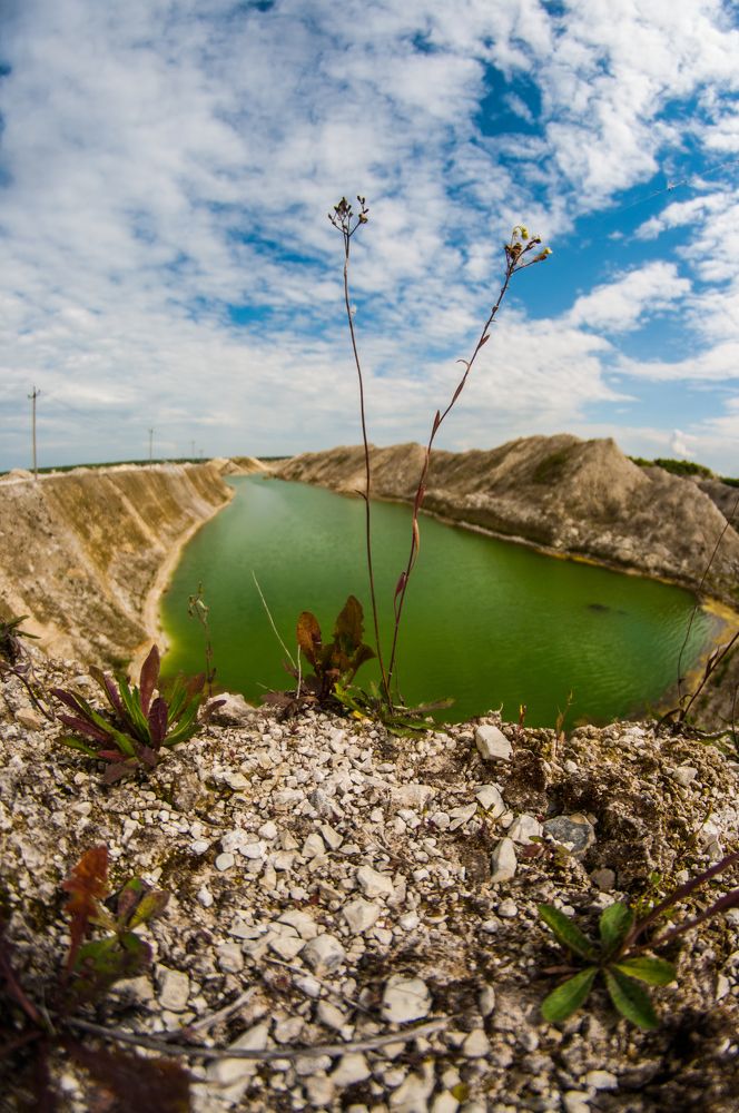 Photograph by Яна Золотоверхая