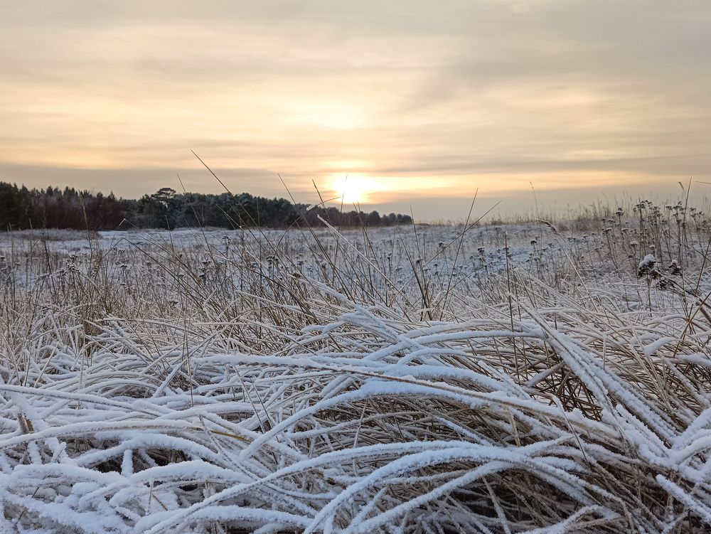 Photograph by Альбина Рычкова
