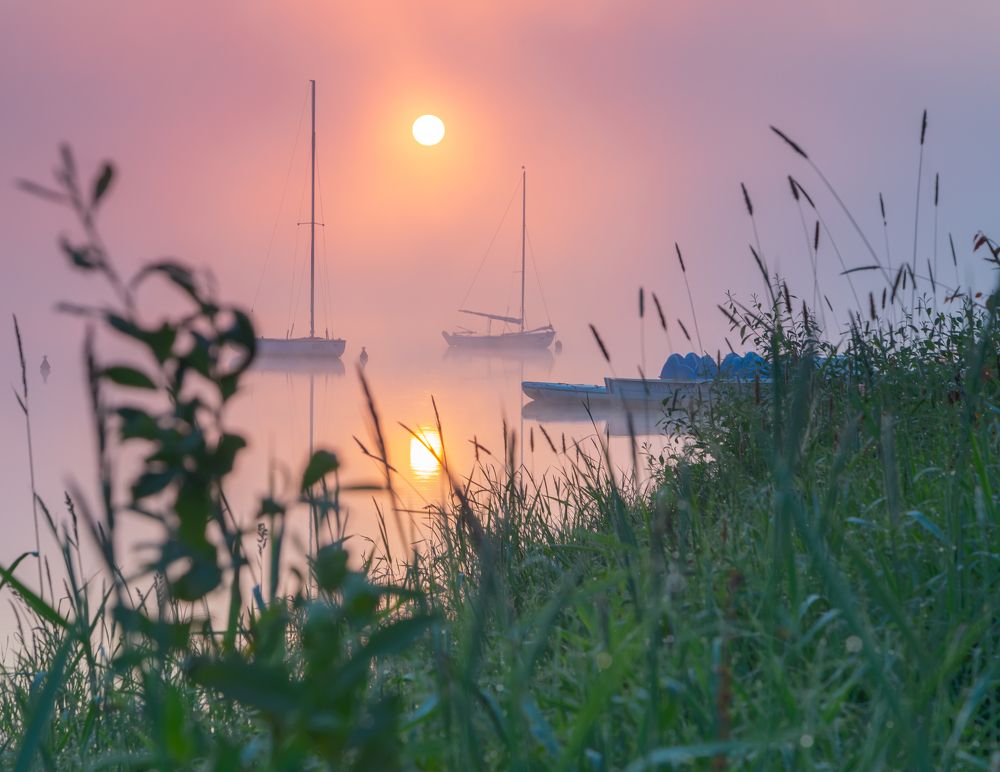 Photograph by Сергей Гук