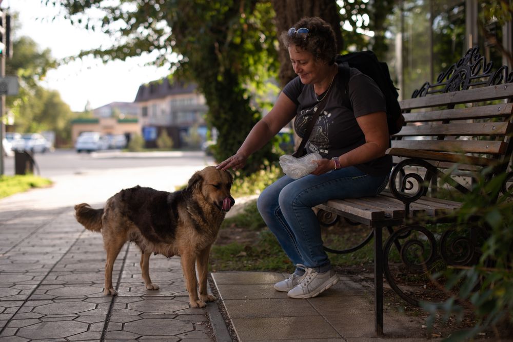 Photograph by Анна Новосельцева