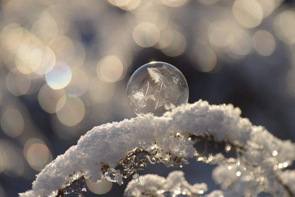 Photograph by Анна Бобкова