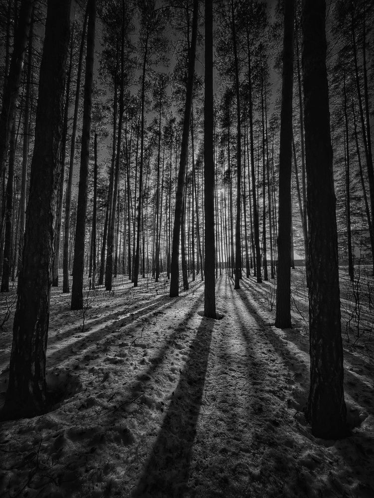 Photograph by Konstantin Martynov