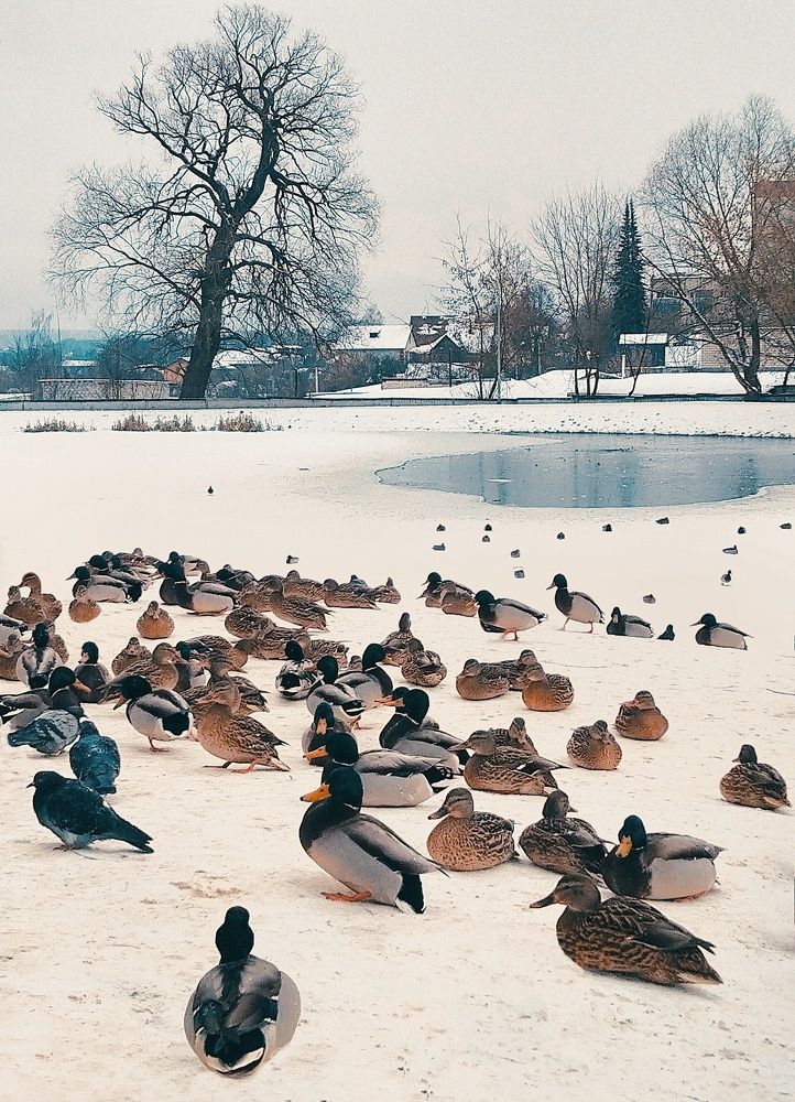 Photograph by Роман Новиков