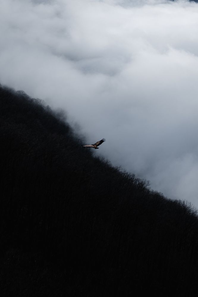 Photograph by Станислав Николаенко
