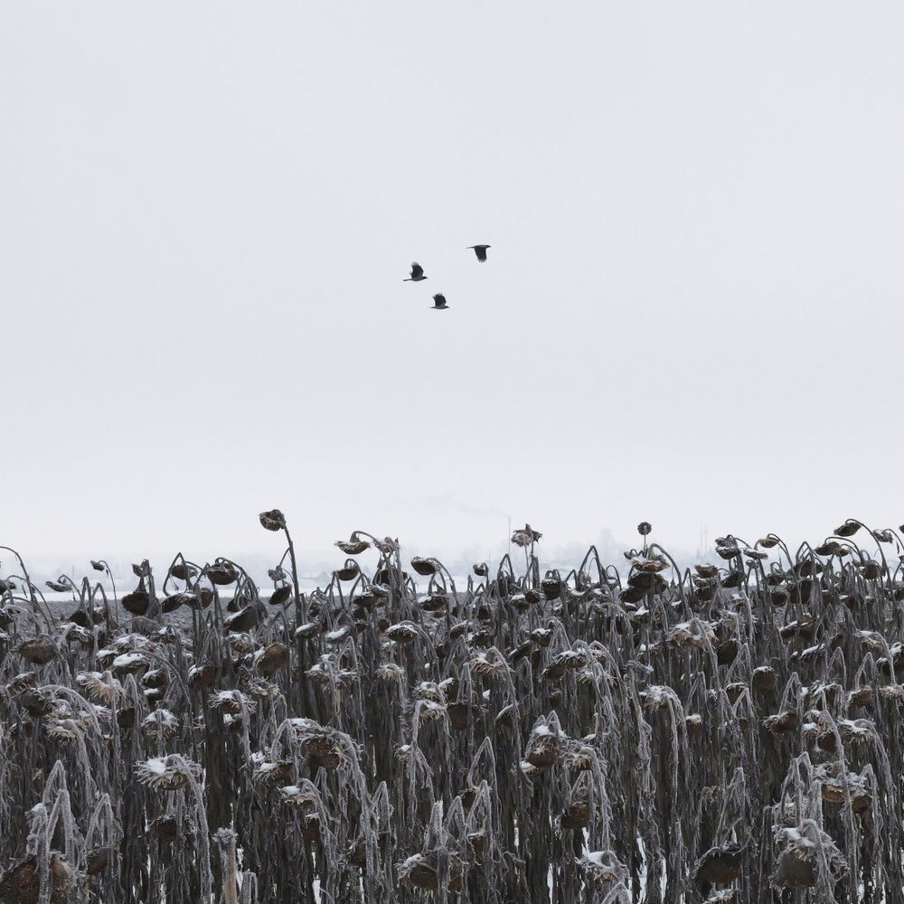 Photograph by Никита