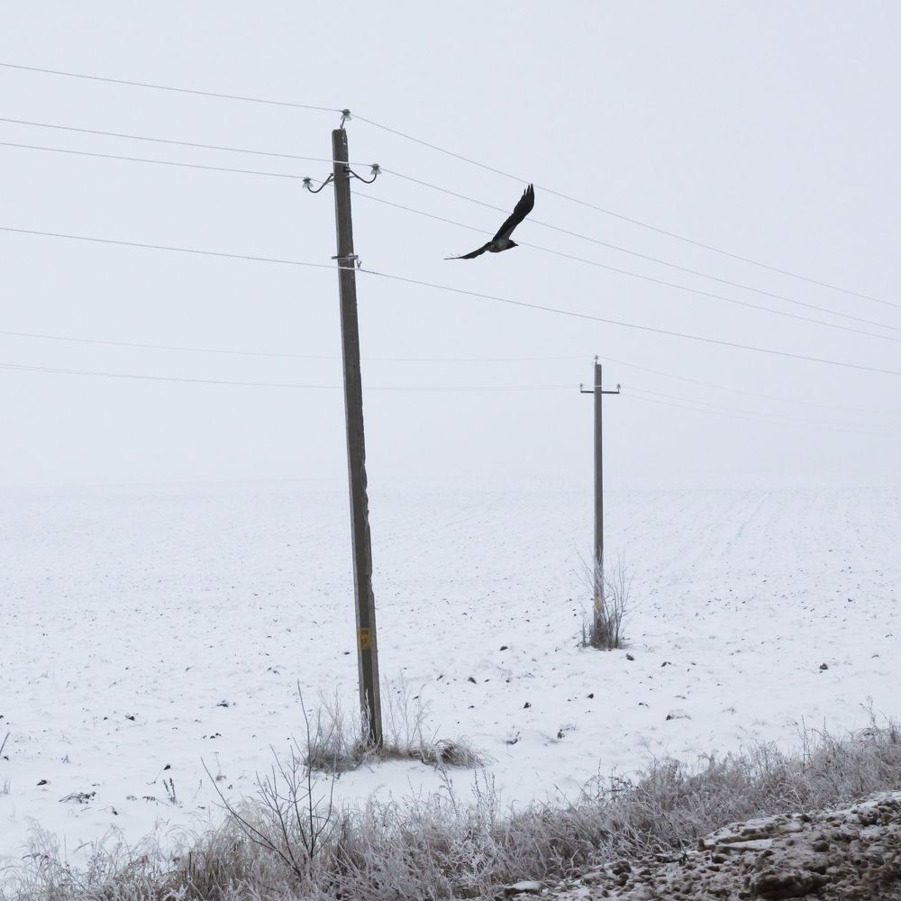 Photograph by Никита