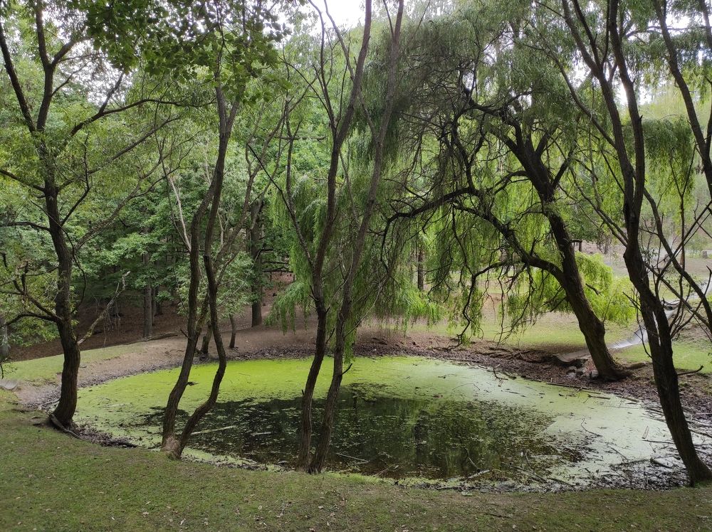 Photograph by Лысых Галина