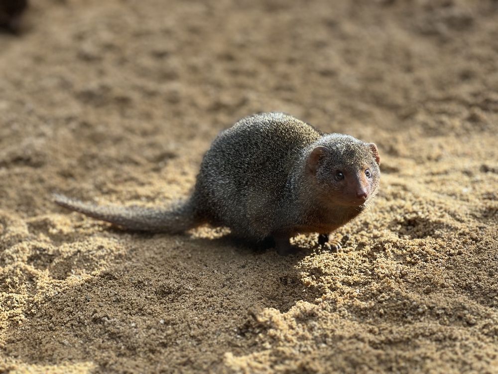 Photograph by Константин Нагорняк