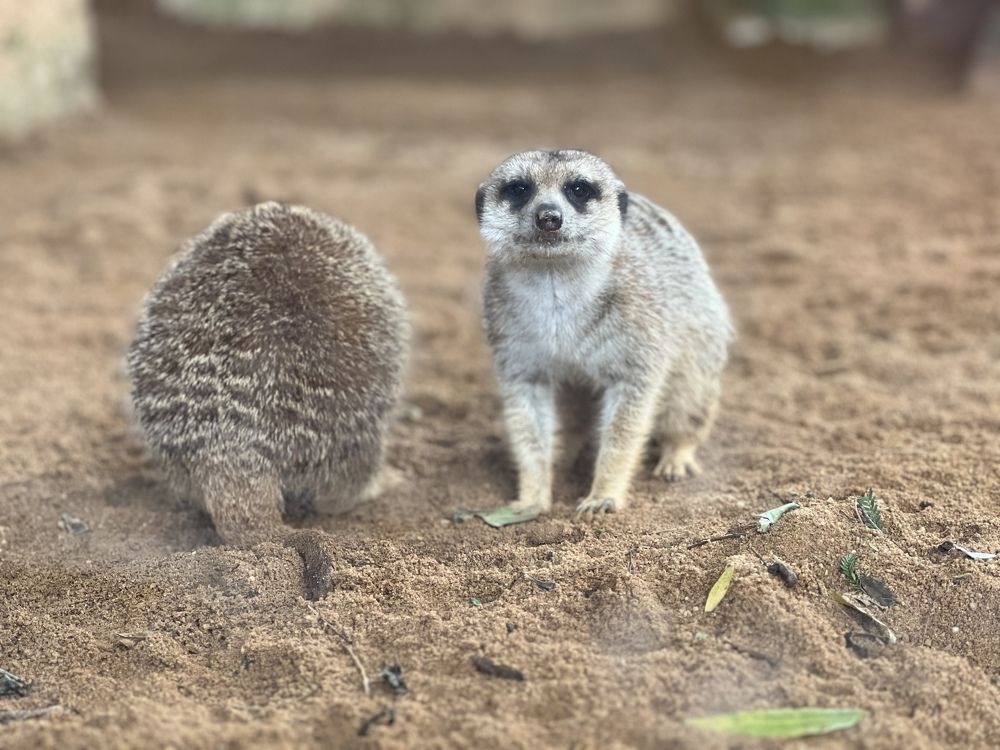 Photograph by Константин Нагорняк