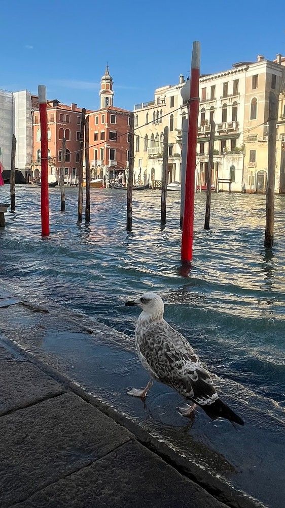 Photograph by Виктория Голубь