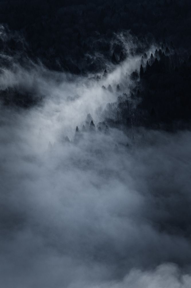 Photo #8452449