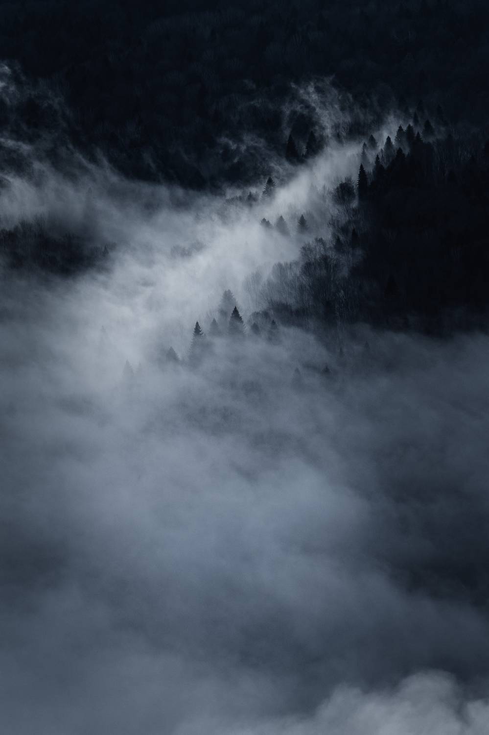 Photo #8452449