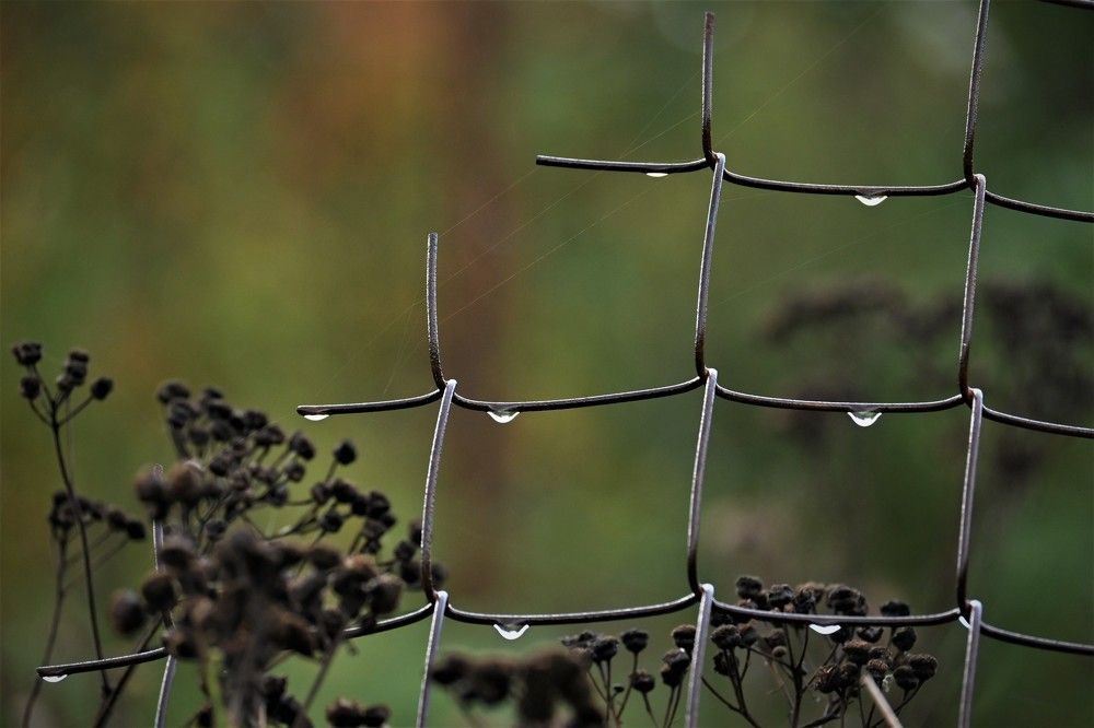 Фотография автора IRINA FILIPPOVA