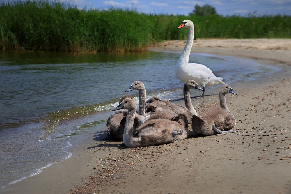 Photograph by Виктор Смирнов
