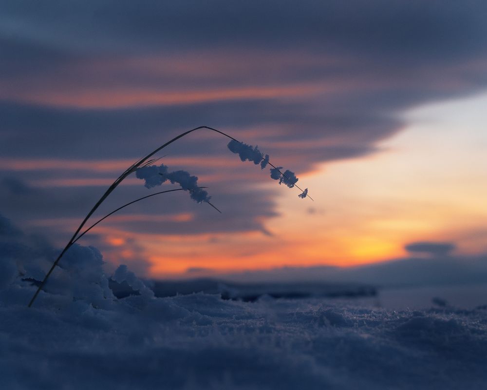 Photograph by Мария Загоревская