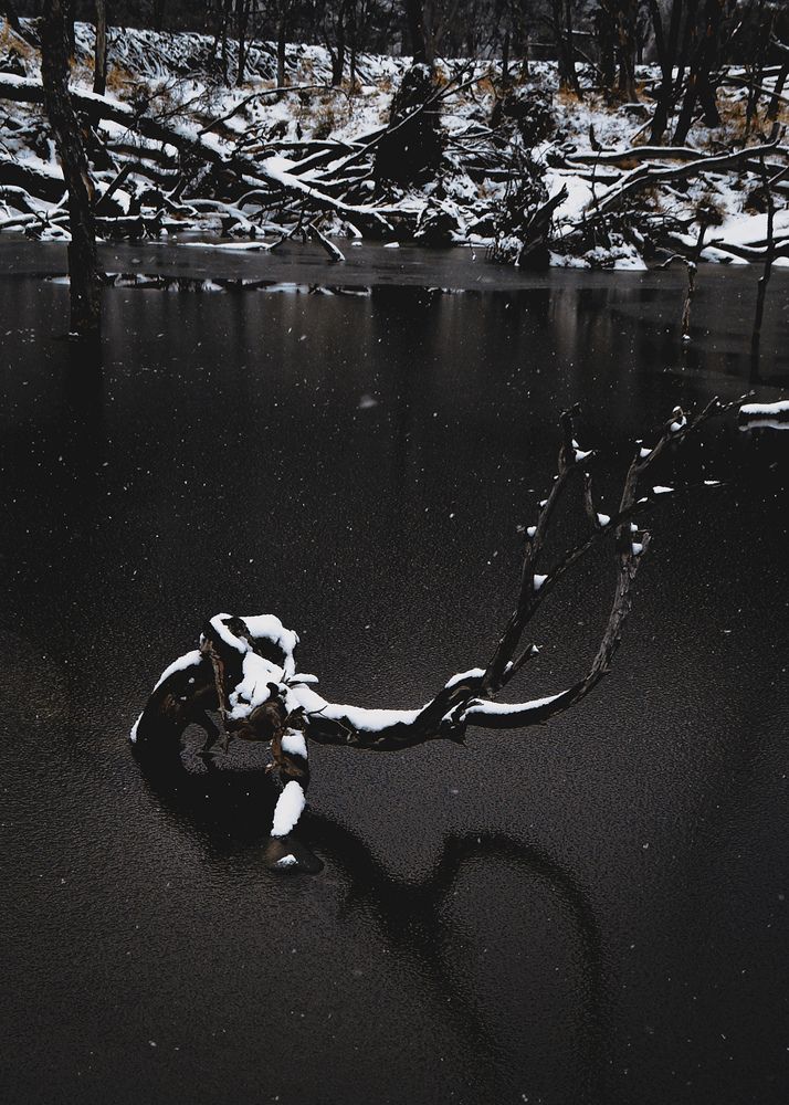 Photograph by Jauke