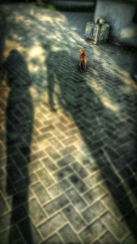 Фотография автора Дана Богинская