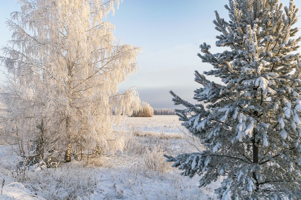 Фотография автора Галина Луценко