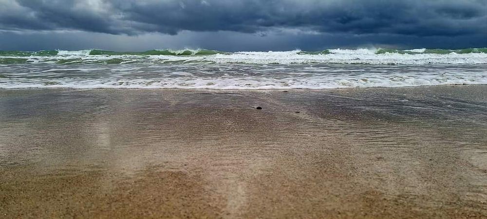 Фотография автора Nancy Thompson