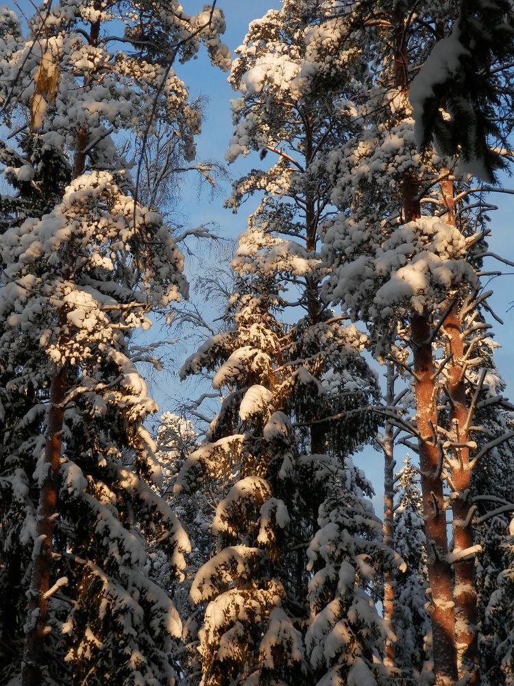 Photograph by Георгий Салюков