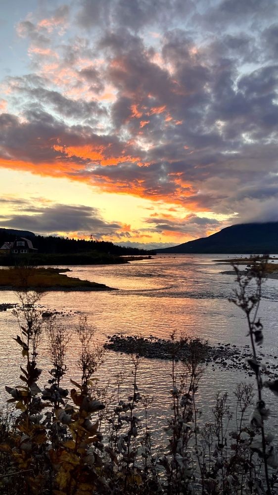 Фотография автора Юлия Шумейко