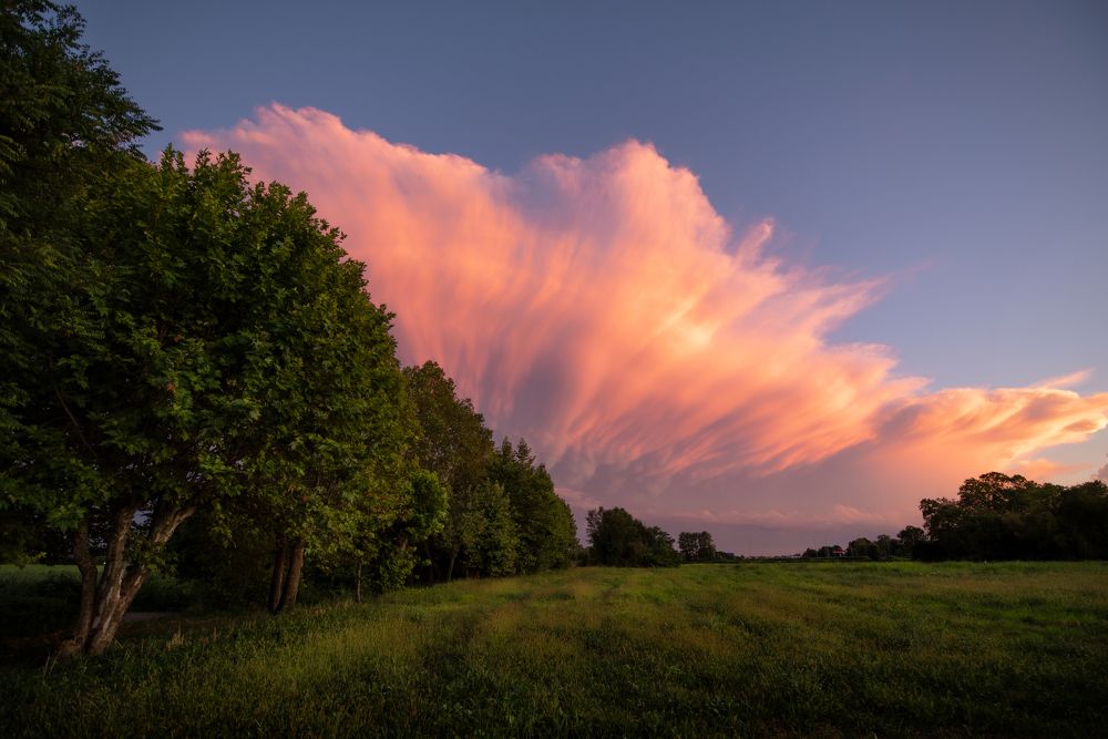 Photograph by Mirko Colombo