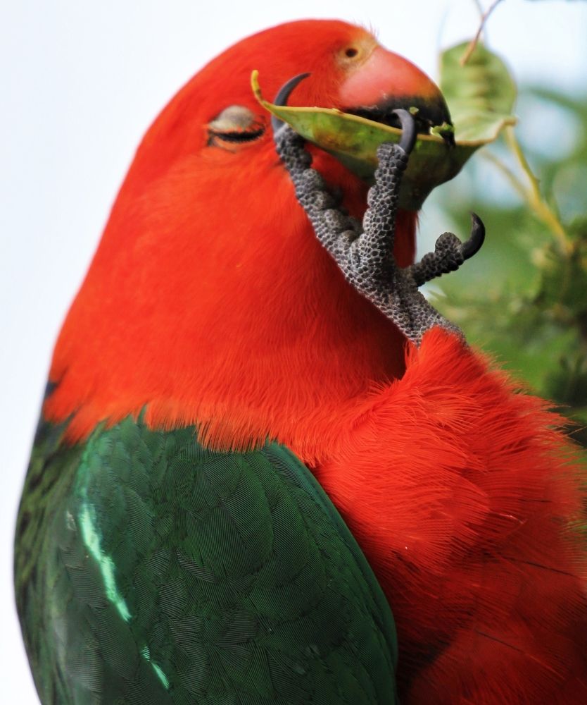 Photograph by Kirsteen Isles