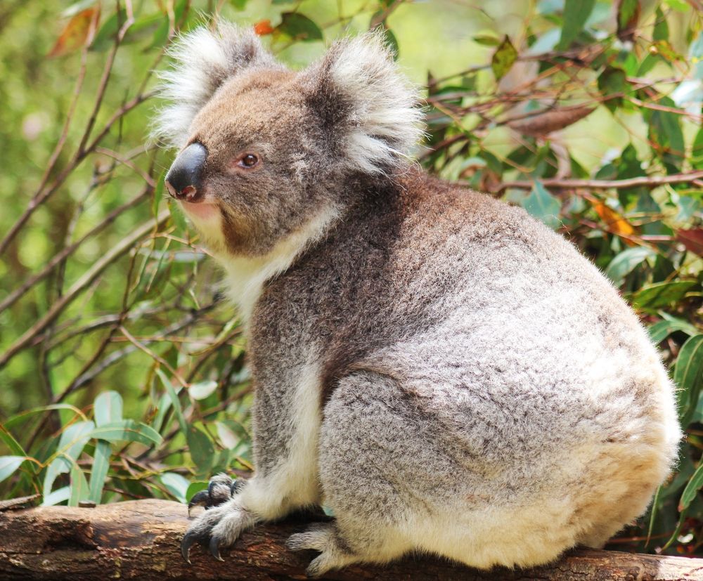 Photograph by Kirsteen Isles