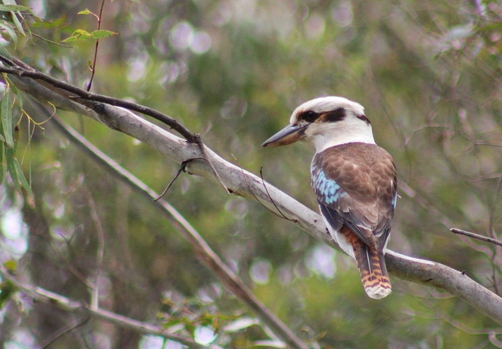 Photograph by Kirsteen Isles