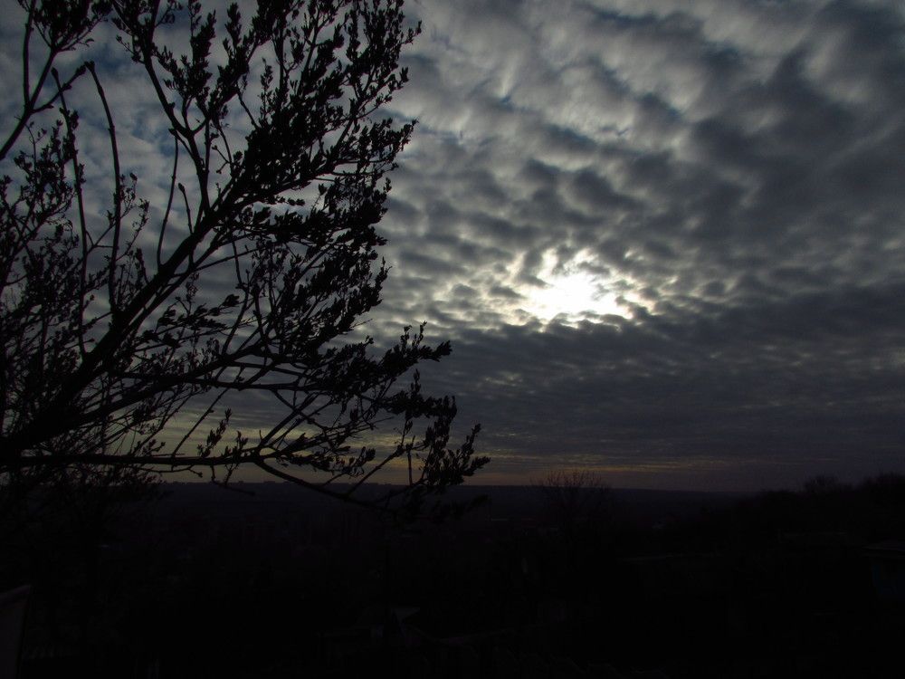 Photograph by Лысых Галина