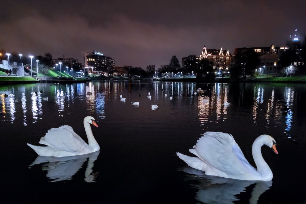 Photograph by Анна Новосельцева