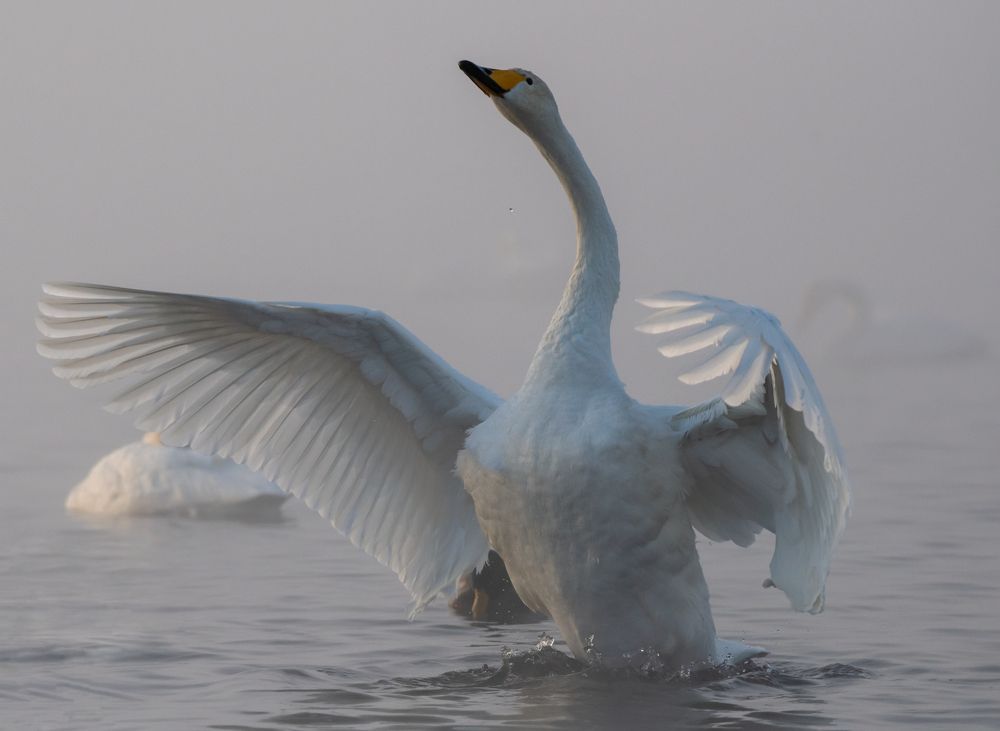 Photograph by Сергей Шерстнев