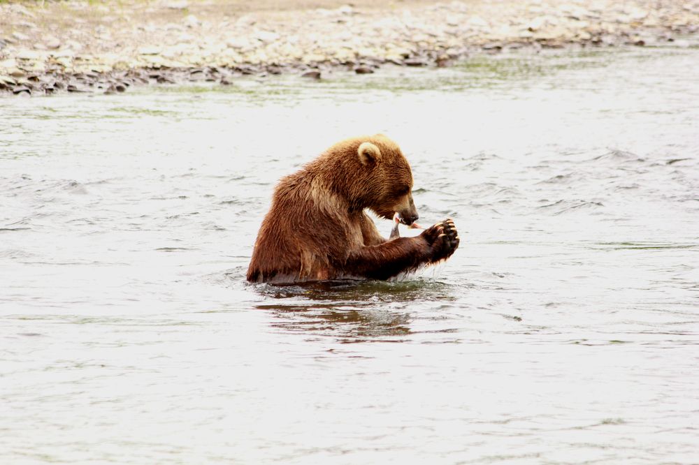 Photograph by Александр