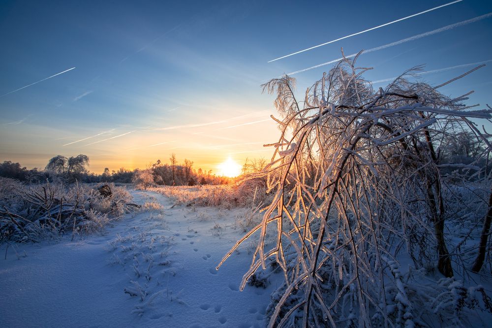 Photograph by Сергей Кочетов
