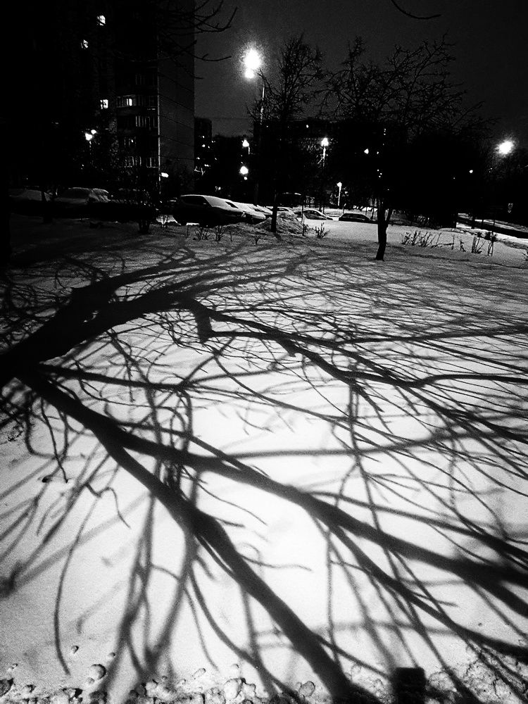 Photograph by Fadeeva Ekaterina