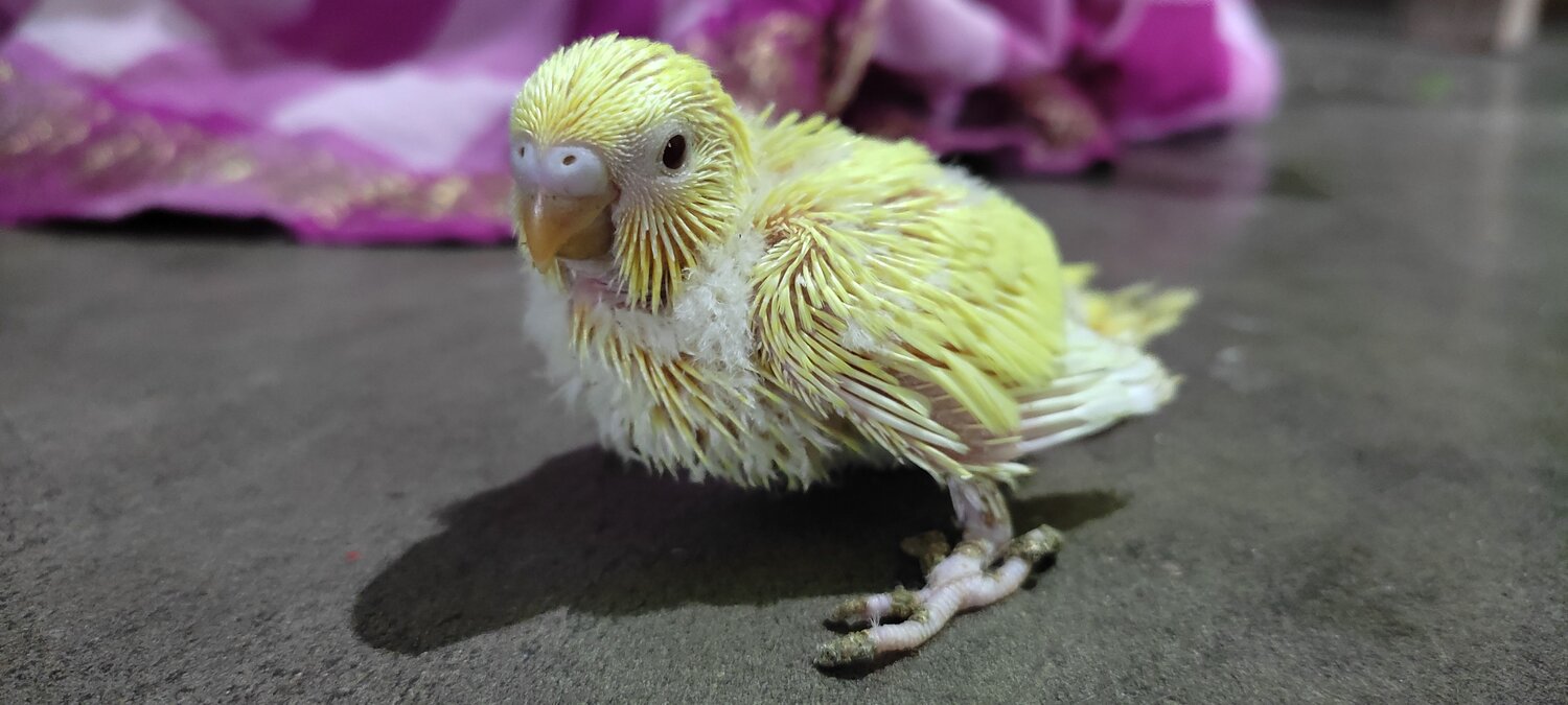 Photo #8453022