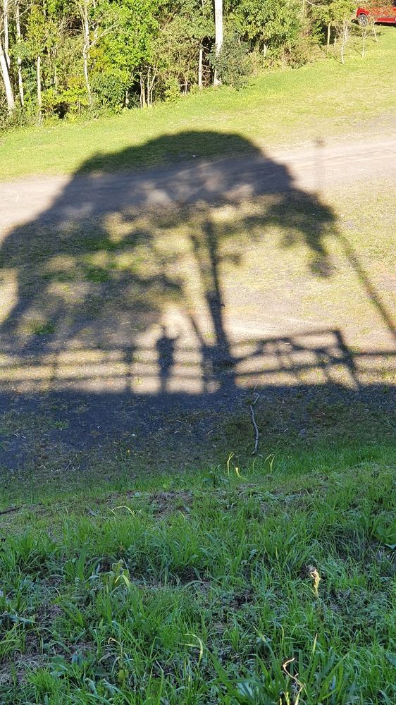 Photograph by Dâmaris Ferrão