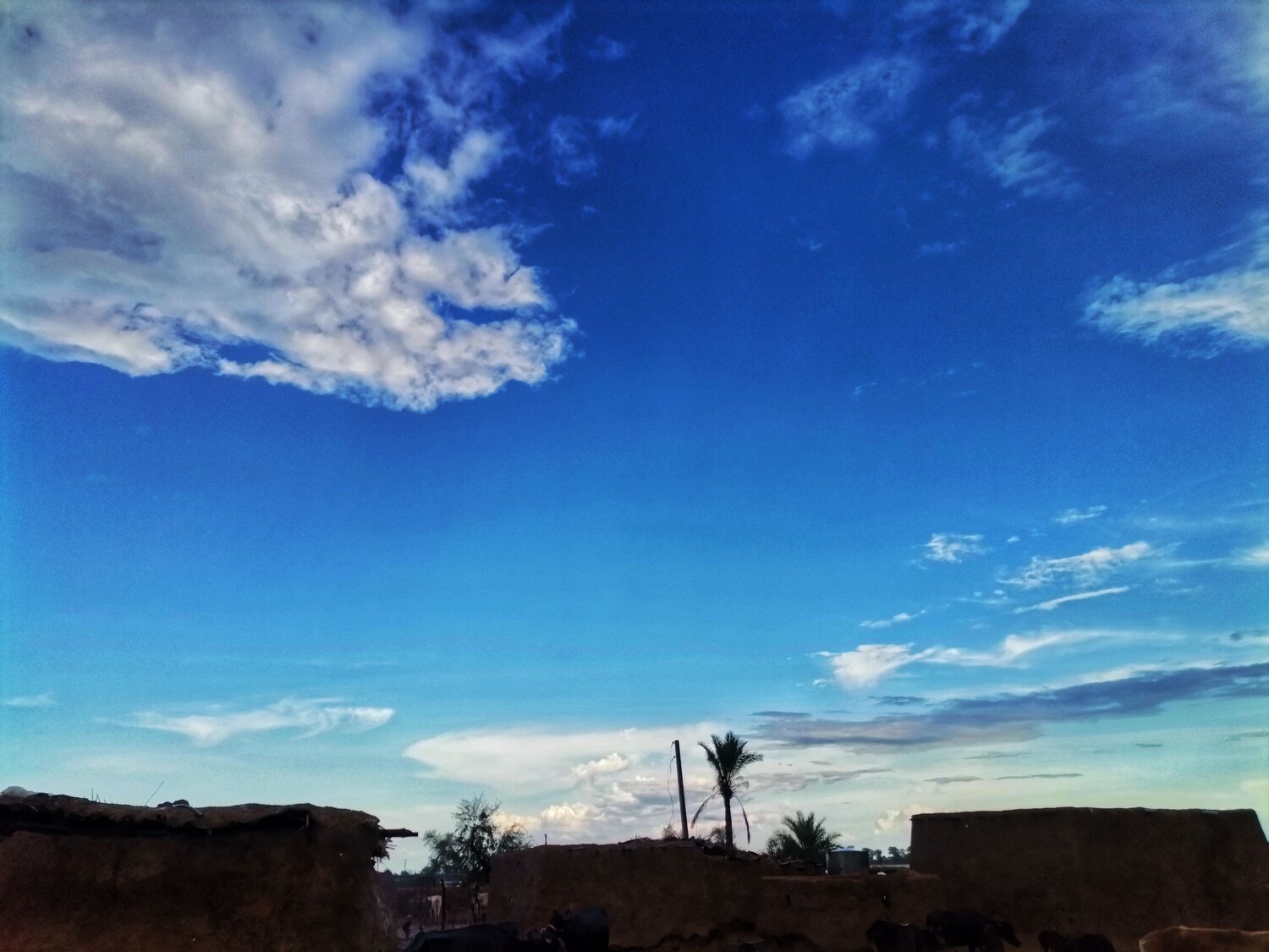 Photo #8453058