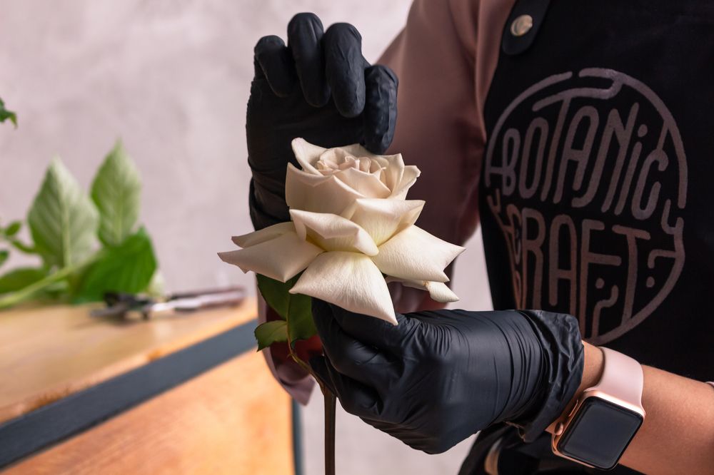 Фотография автора Дмитрий Рудь